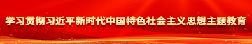 女口大鸡巴免费学习贯彻习近平新时代中国特色社会主义思想主题教育